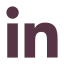Linkedin icon